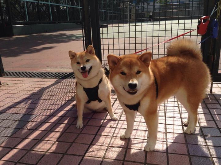 开云ky官网-中国男篮主教练强调防守策略 全队积极响应，中国男篮主教练是谁最新