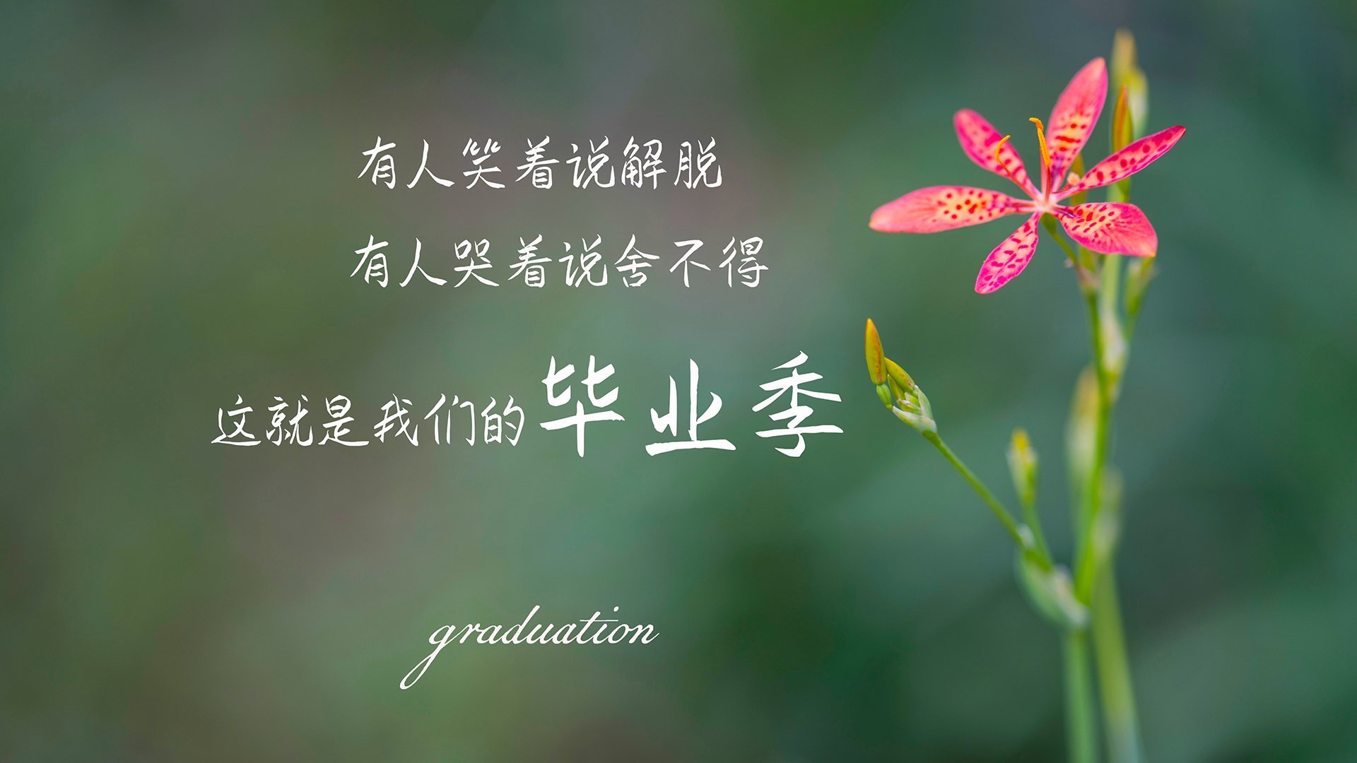 开云app-体育新闻中心主办智慧体育创新论坛，智慧体育赛事