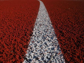 开云体育在线-田径项目专项训练成效显著，田径专项体能训练