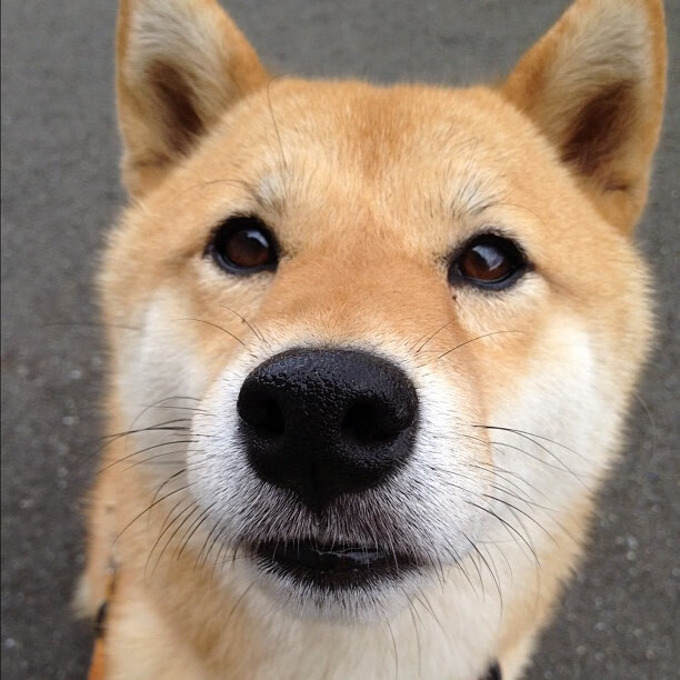 开云体育官网登入-配速调整数据对比赛走势的影响，配速大小