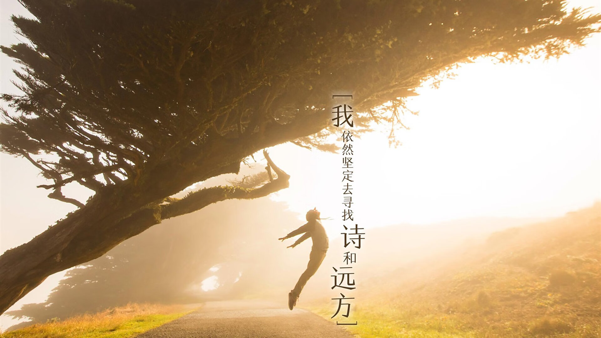 开云体育在线登入-高水平蝶泳划频–配速关系图首次公开，蝶泳高手