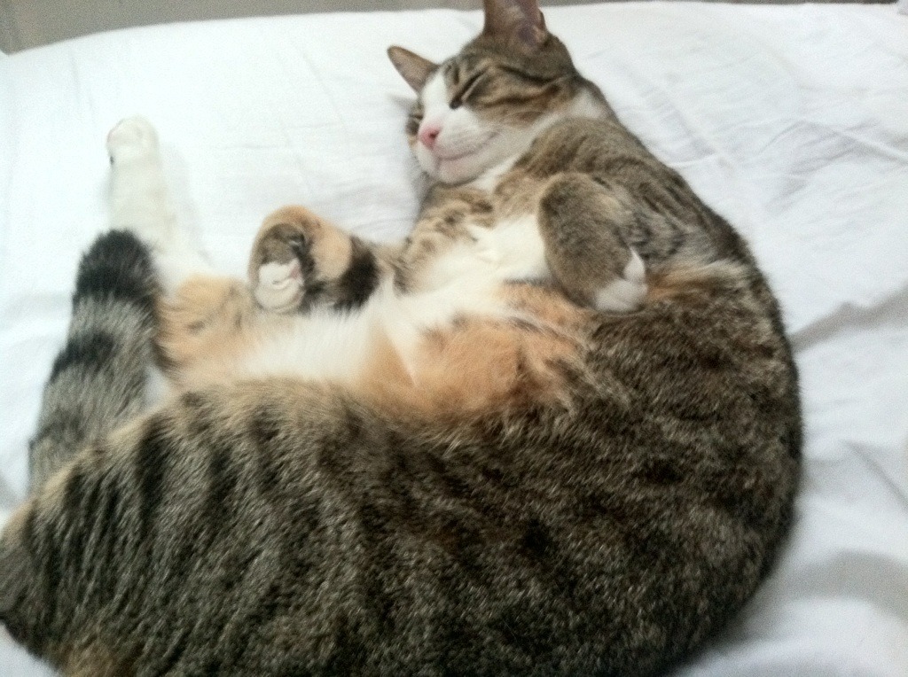 开云体育下载-世界杯激情夜:每一秒都令人难忘!,世界杯精彩瞬间视频