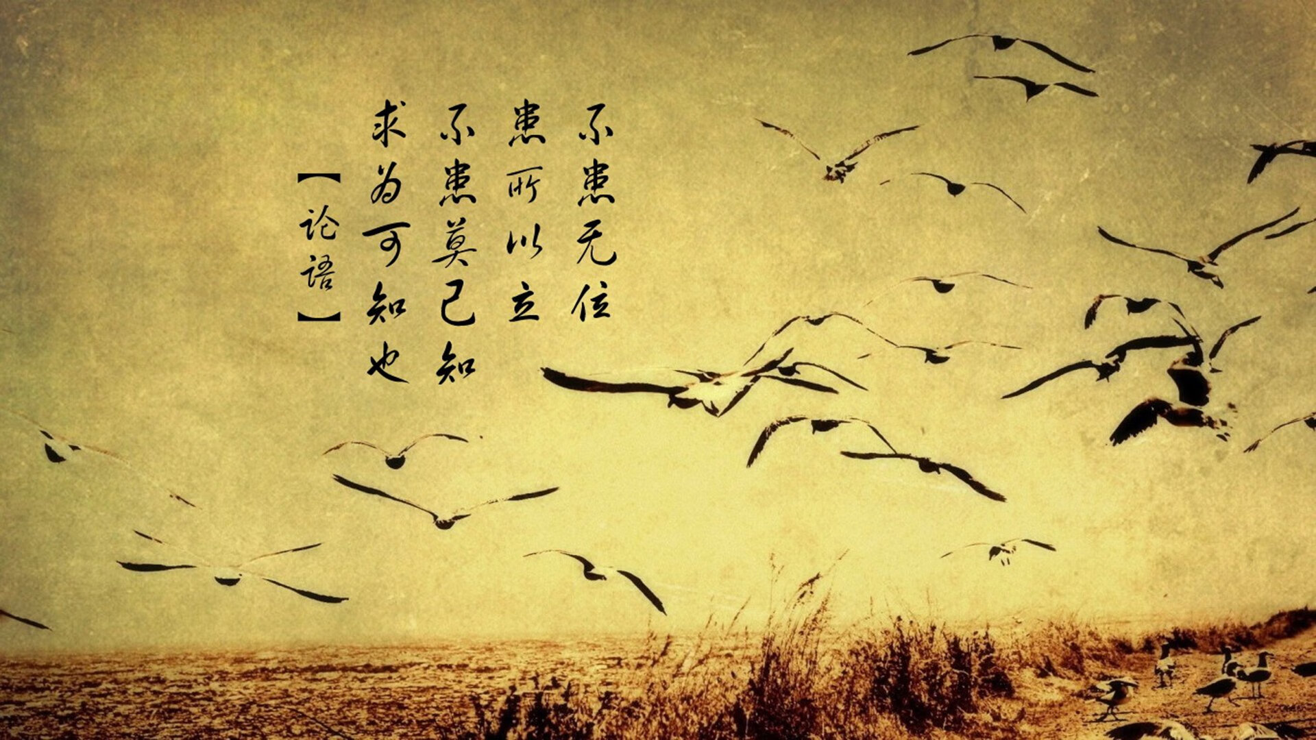 开云ky官网-世界杯经典回放:那些难忘的足球瞬间,世界杯经典视频