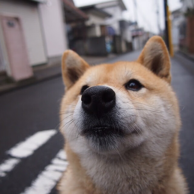 开云官方网-中国篮球协会发布年度赛事报告提升管理透明度,中国篮球协会查询