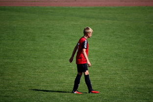 开云体育娱乐-中国足球俱乐部青训营技术指导持续加强，中国足球青训机构