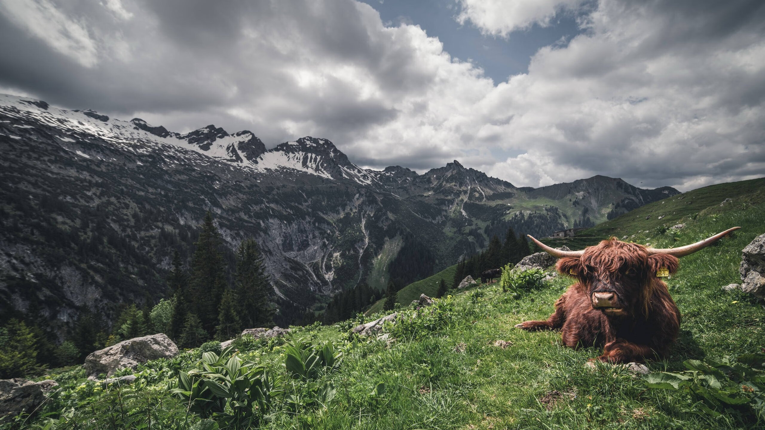 开云体育官网下载-凯瑟琳·伯科夫用速度与耐力完美结合，凯瑟琳·波克瓦克的真实经历