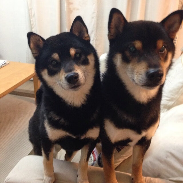 开云体育链接-国家队训练基地向全国青年开放媒体参观通道，国家体育总局国家队训练基地