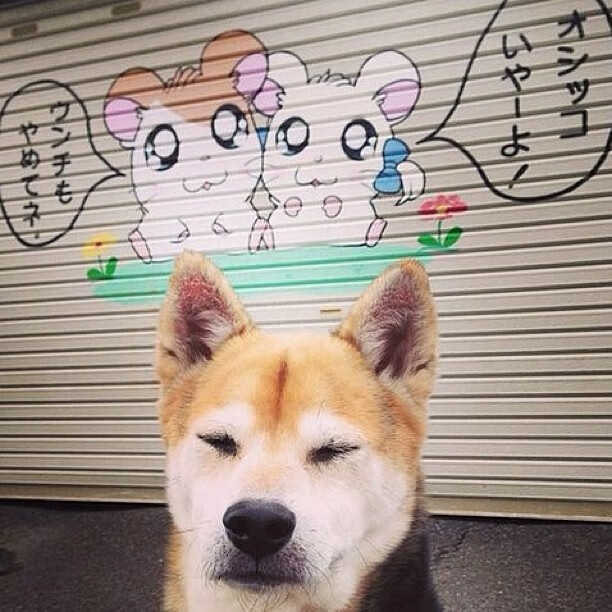 开云体育链接-国家队训练基地向全国青年开放媒体参观通道,国家体育总局国家队训练基地