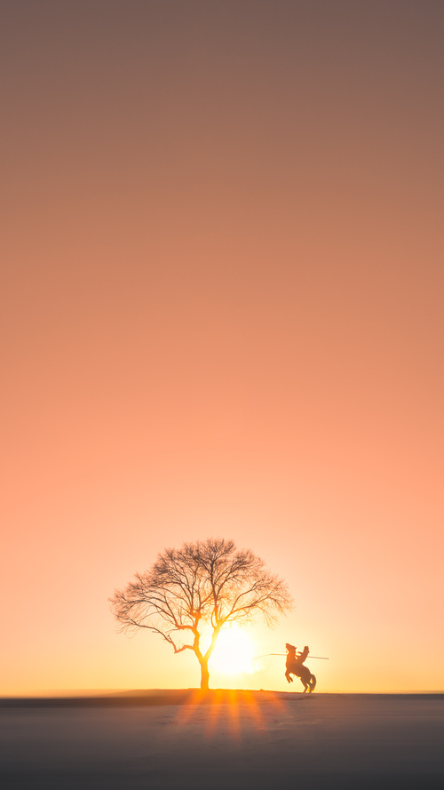 开云体育官网app-巴西队在南美预选赛中领先，稳步迈向世界杯