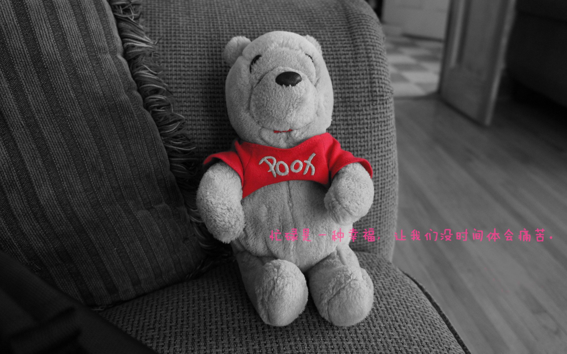 开云在线登入-德甲新星崛起：未来巨星在此起飞！，德甲潜力新星