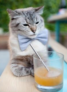 开云体育app下载-林丹笑谈孩子未来或走艺术路线,播放林丹