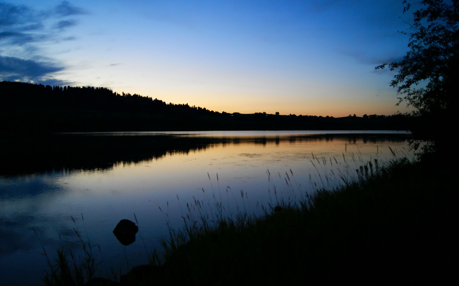 开云体育官网登入-皮特·斯图斯:世界最佳后排球员的强力回归,斯图皮特2021