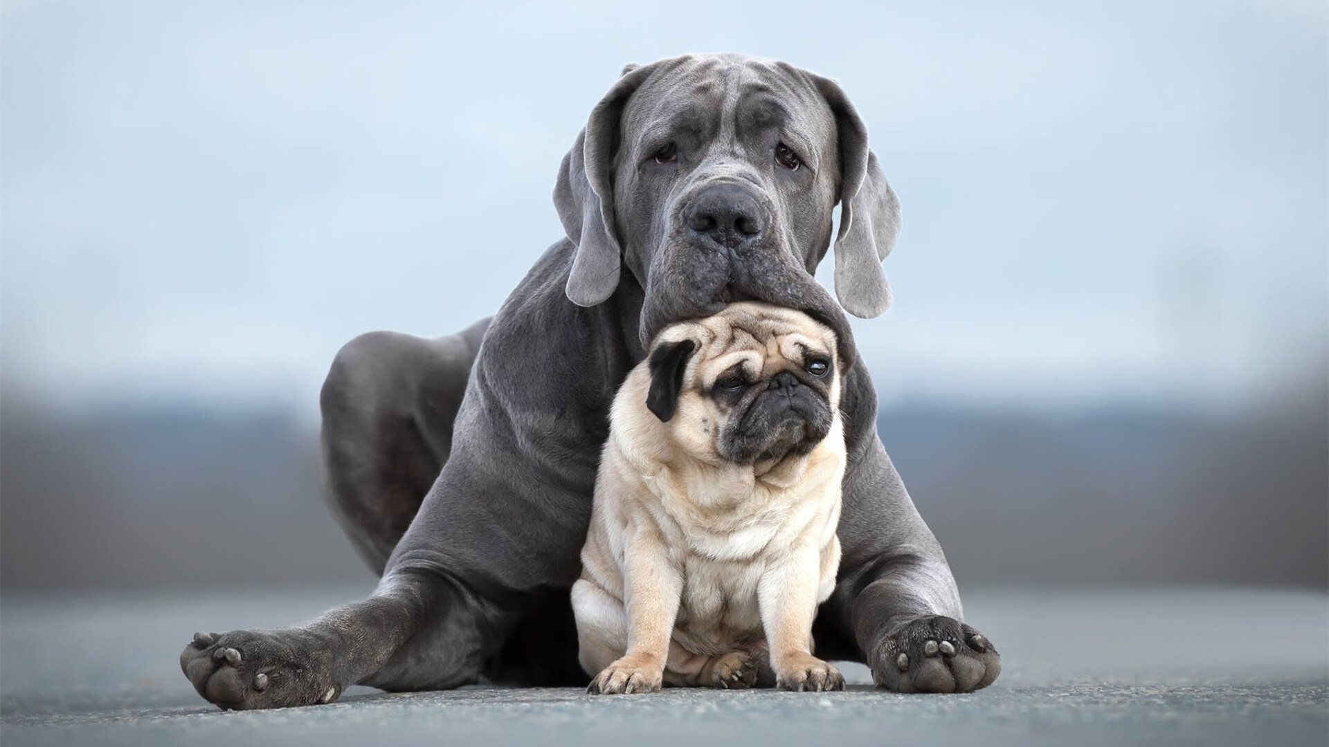 开云体育在线-美洲杯逆转奇迹：拼搏到底的精神写照，美洲杯冠军之路
