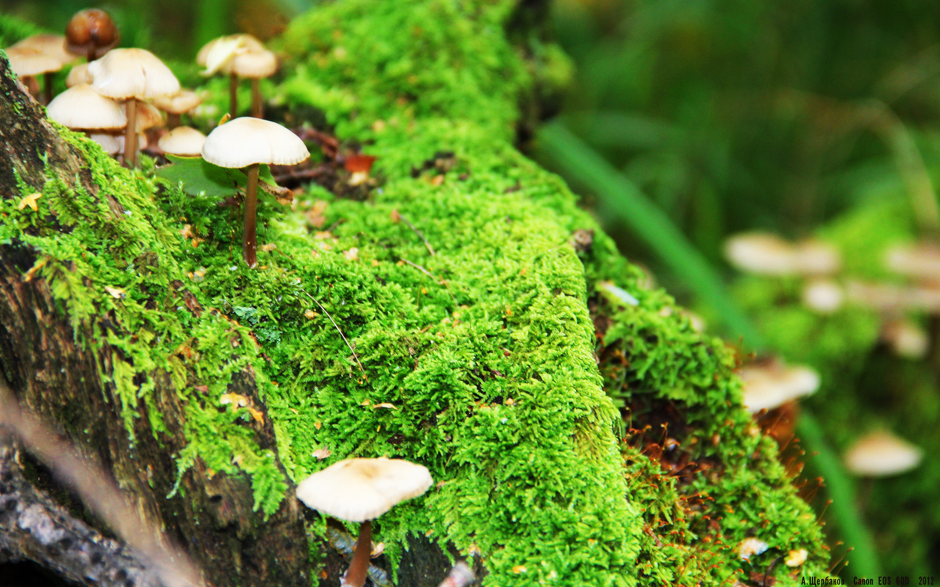 开云体育app官网-苏炳添获得体坛风云人物年度突破奖,苏炳添领衔